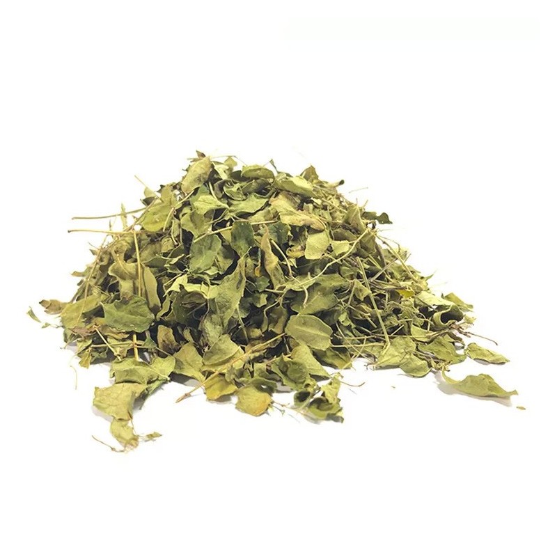 Moringa en hojas