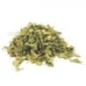 Moringa en hojas