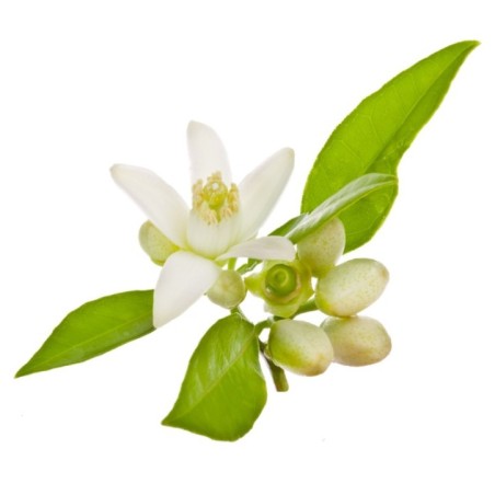 Aceite Esencial de Neroli Orgánico